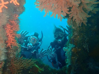 P5030032