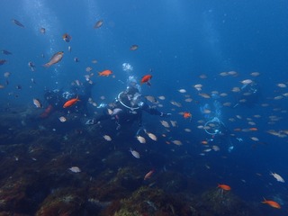 P4300432