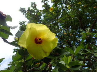 P7300716