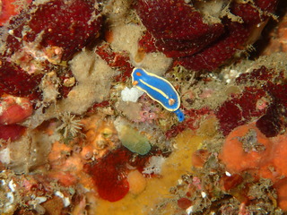 PC060051