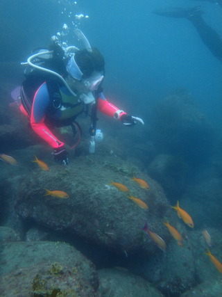 P7250035