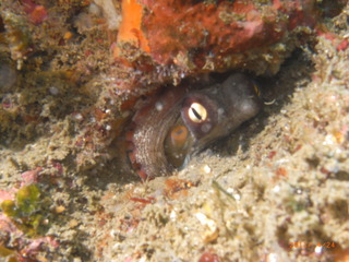 M0012128