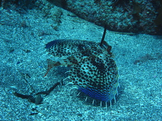 M0020822