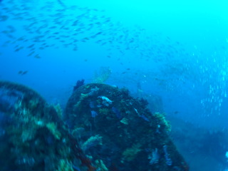 M1056391
