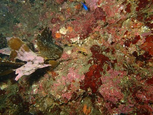 P9190111