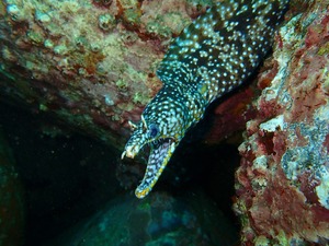 P8230465