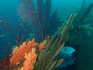 P3050136