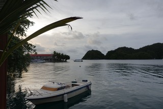 DSC08048