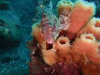 PB030176