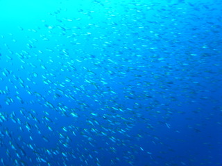 M0020693
