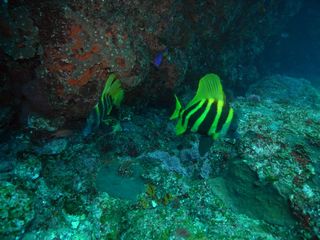 5.5hatijoujima6