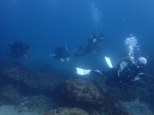P1210016