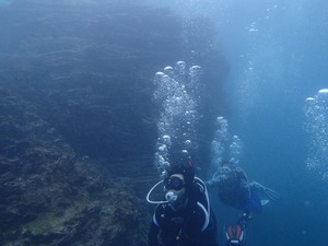 PA230262
