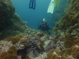 P6250164