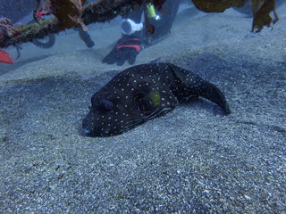 PC060245