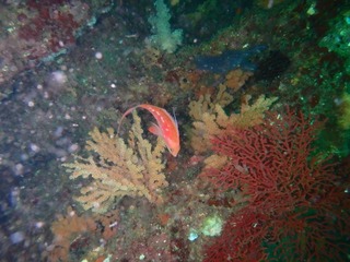 P3050354