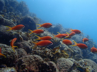 P9100175