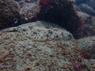 P1230087