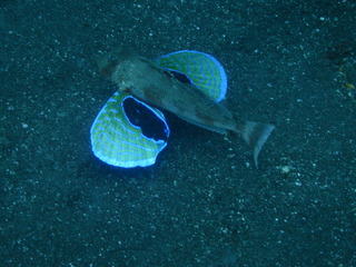 P6270032