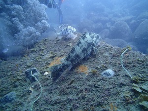 P7230031