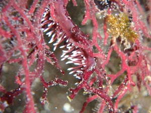 P3180072