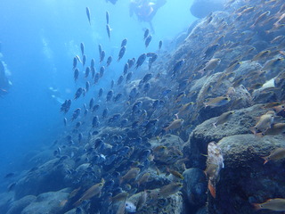 P9240621