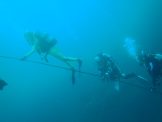 P7020194