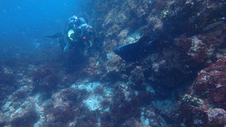 P4290929