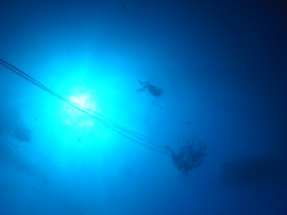 M1056442
