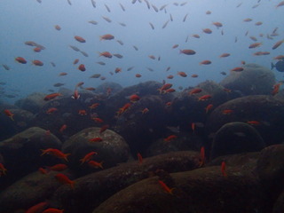 PB010051