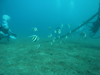 M1055882