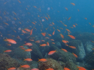 P9200260