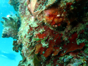 P5070101