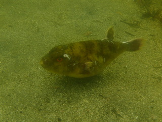 P5310059
