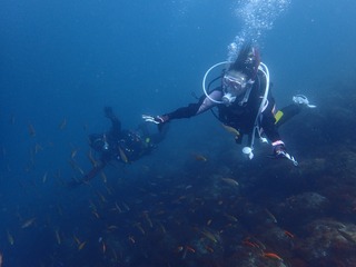 P4300484