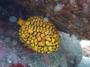 P8060050