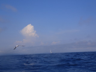 P8060948