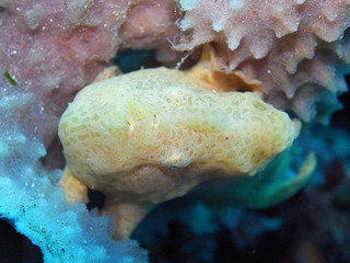 M0015893