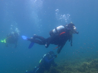 P7260186