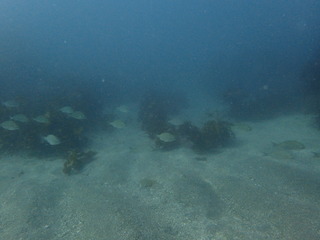 PA120310