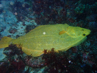 P2220232