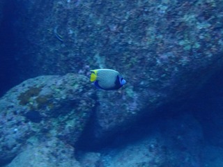 P2200237