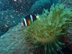 P9220078