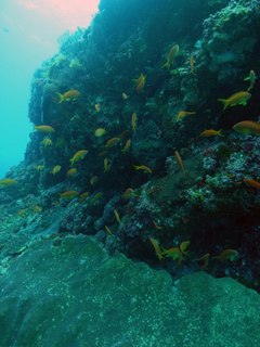 5.5hatijoujima7