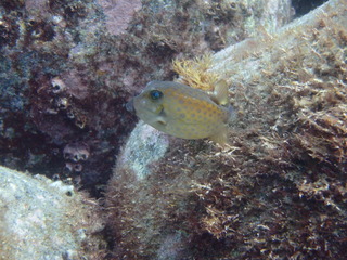 P5230081