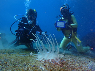 P2240010