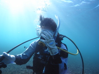 M0020367