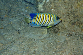 P1250764