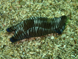 P4230024
