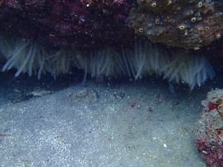 P3150931